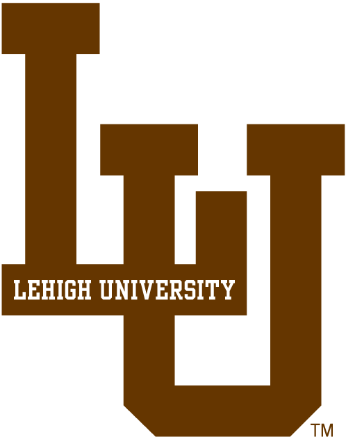 Lehigh Mountain Hawks 0-Pres Alternate Logo diy DTF decal sticker